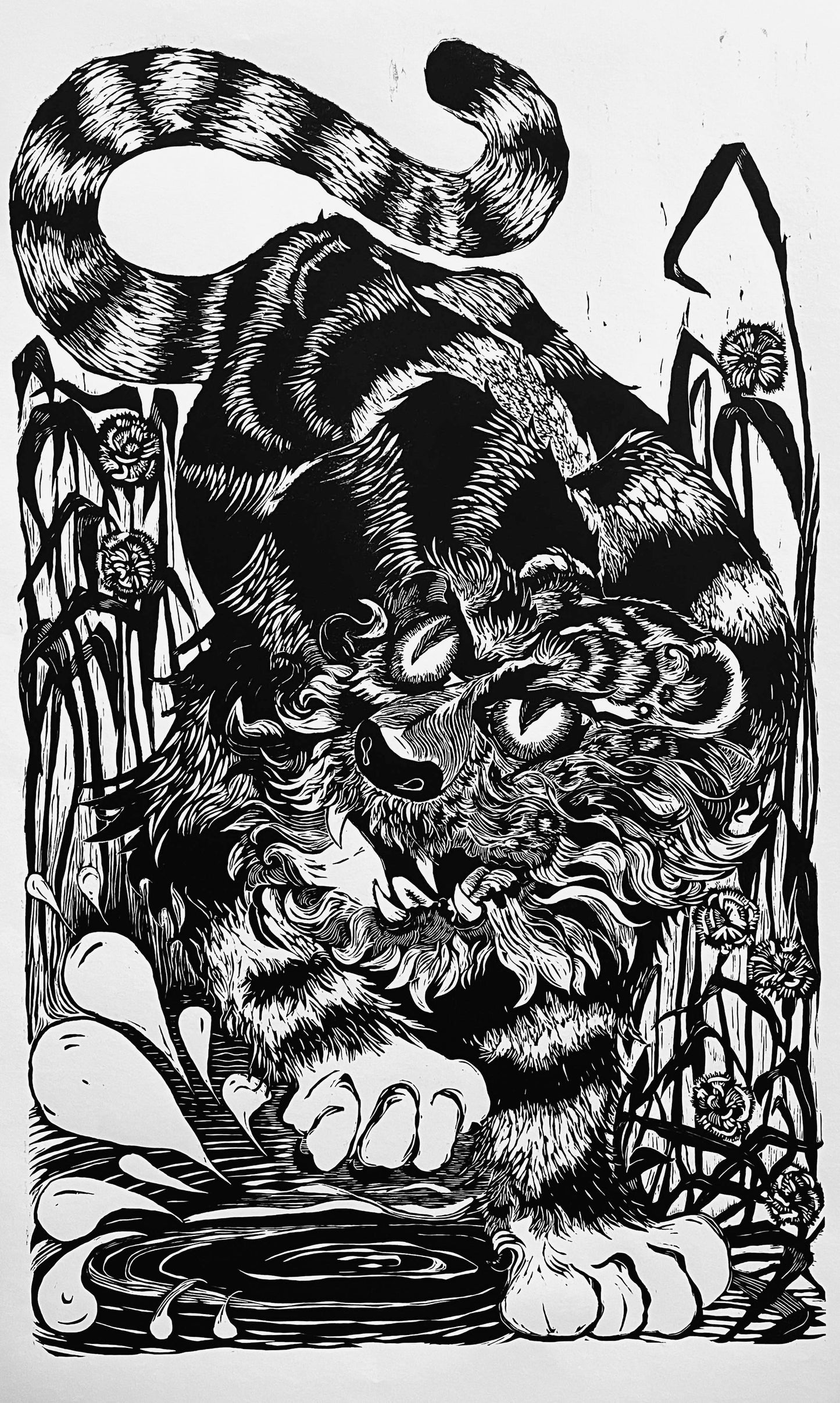 Zodiac Tiger