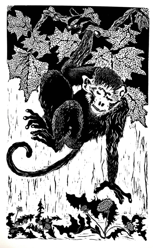 Zodiac Monkey
