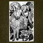 Zodiac Ram, Large