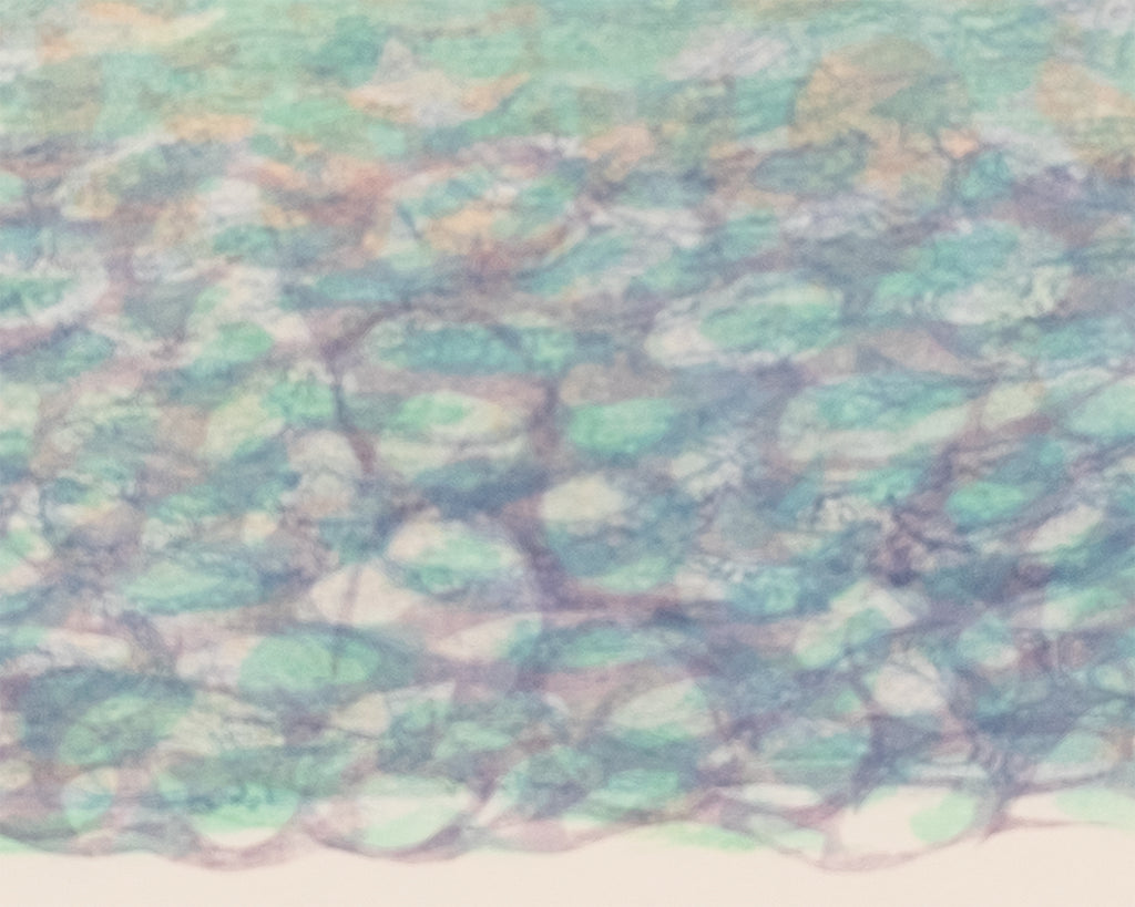 L'Incantesimo Della Laguna IV