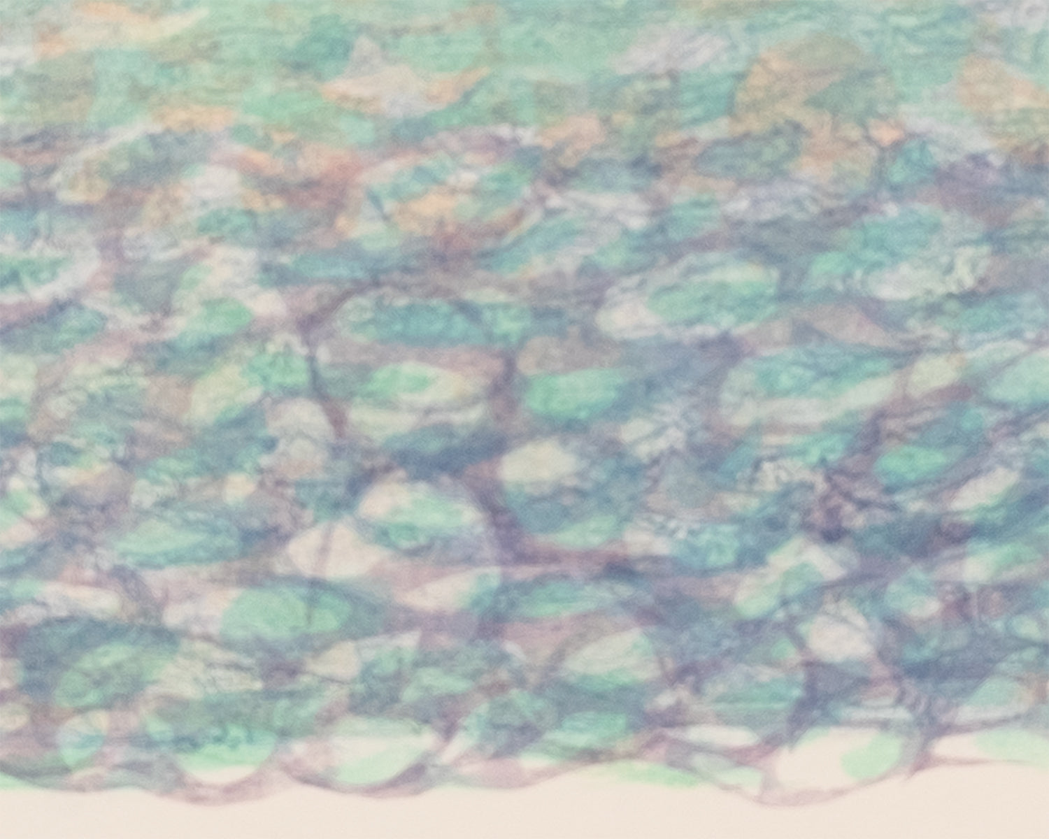 L'Incantesimo Della Laguna IV