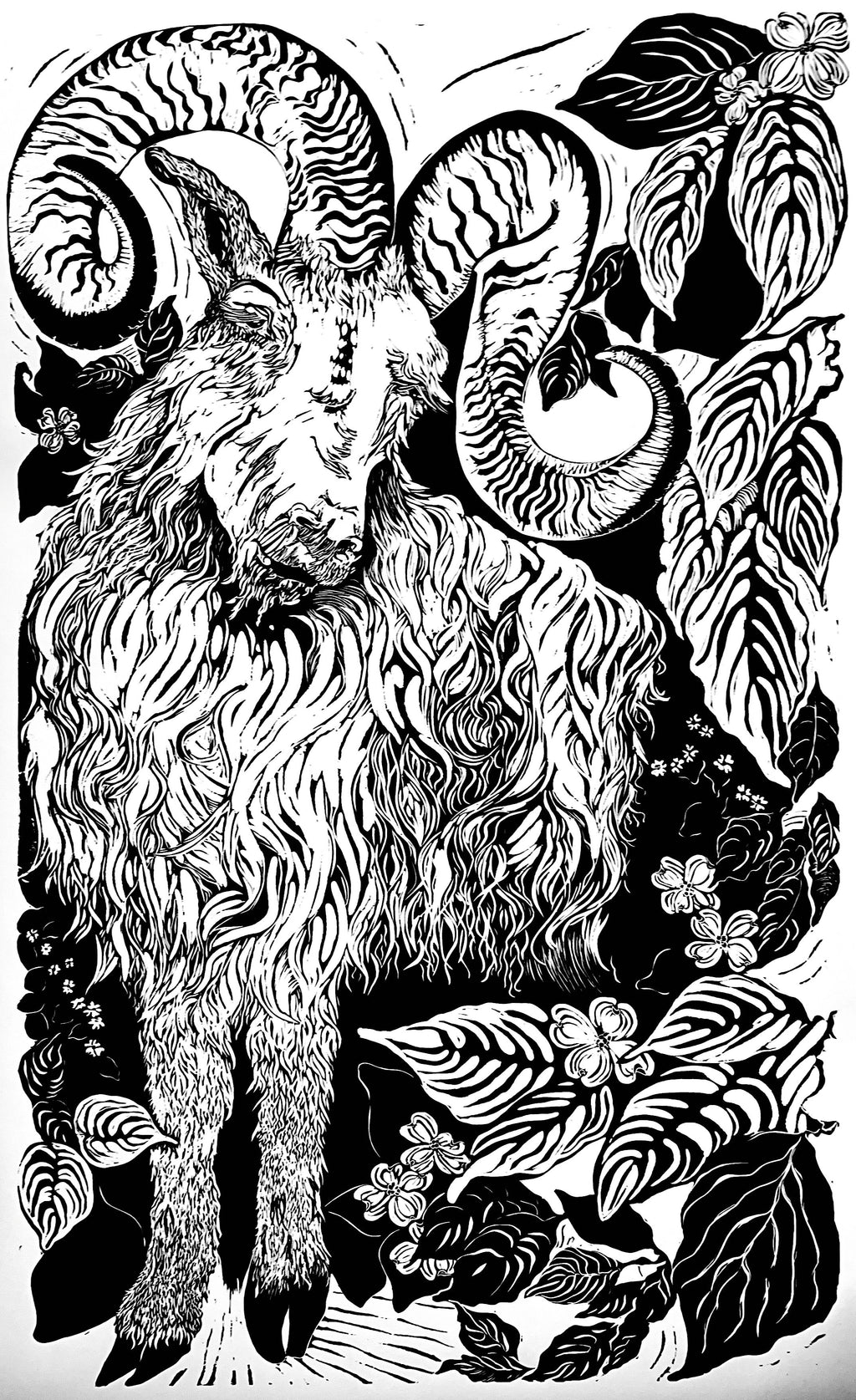 Zodiac Ram, Large