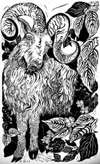 Zodiac Ram, Large