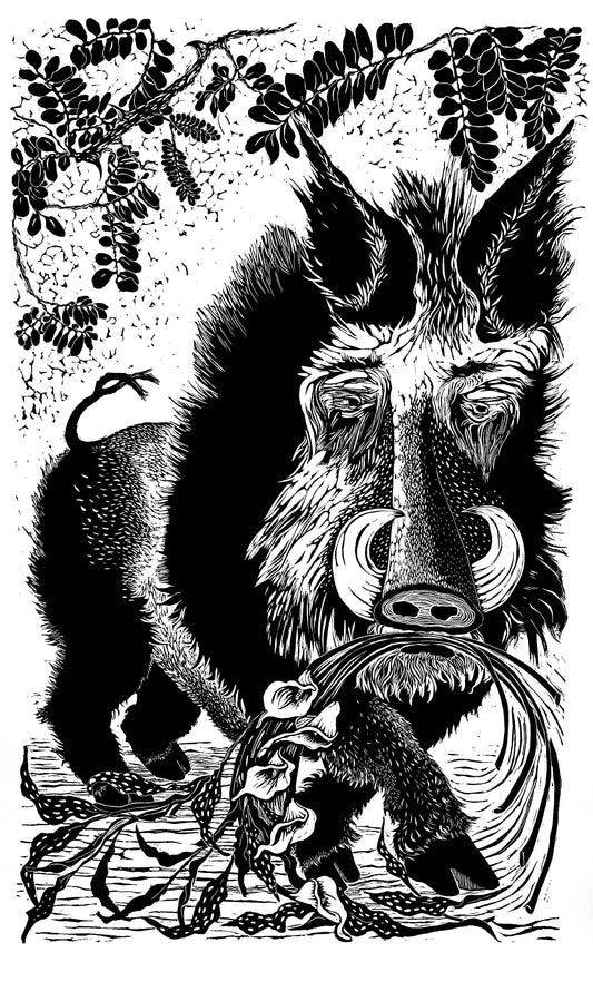 Zodiac Boar